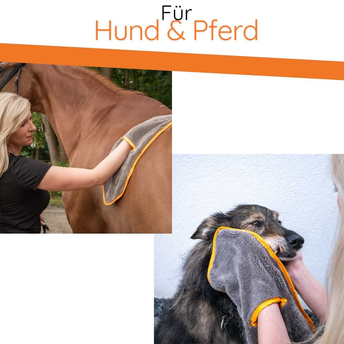 Pflegeset Hund