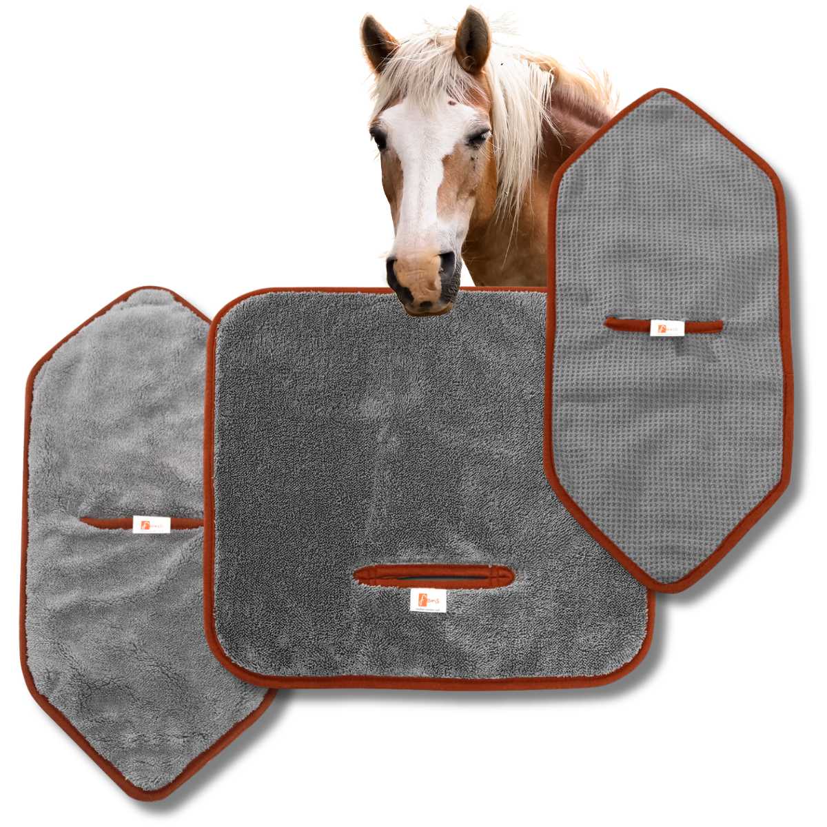 Starterset Pferd